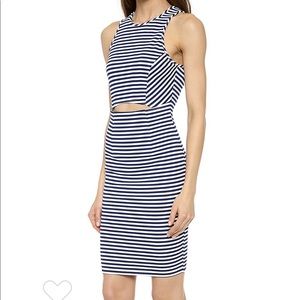 Torn by Ronny Kobo “Yonal Dress”